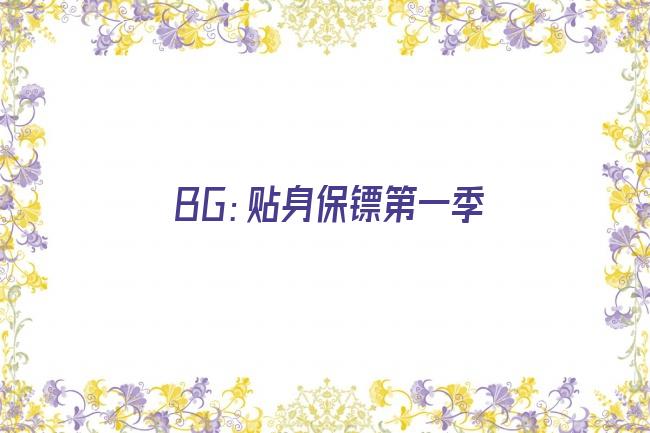 BG：贴身保镖第一季剧照