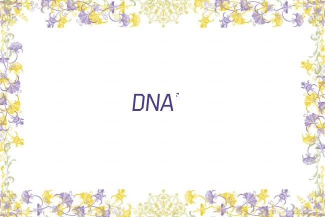 DNA²剧照