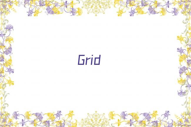 Grid剧照