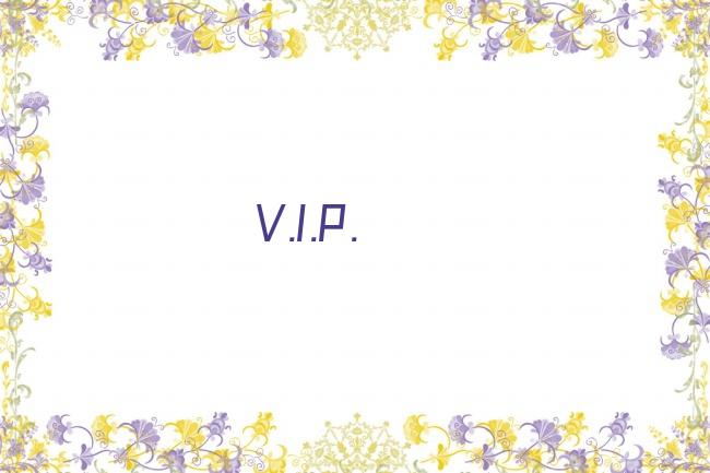 V.I.P.剧照