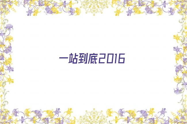 一站到底2016剧照