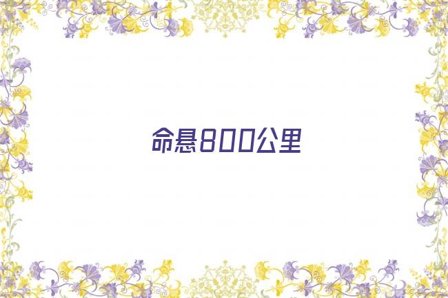 命悬800公里剧照