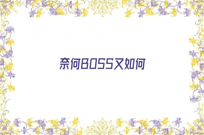 奈何BOSS又如何剧照