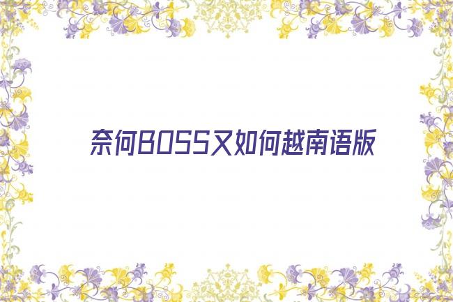 奈何BOSS又如何越南语版剧照