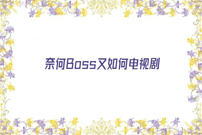 奈何Boss又如何电视剧剧照