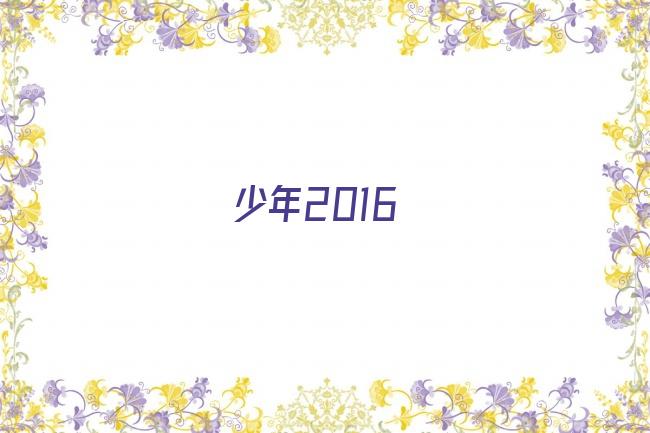 少年2016剧照