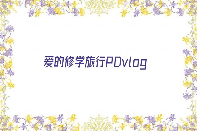 爱的修学旅行PDvlog剧照