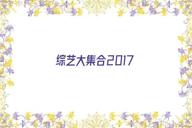 综艺大集合2017剧照