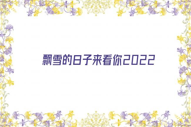 飘雪的日子来看你2022剧照